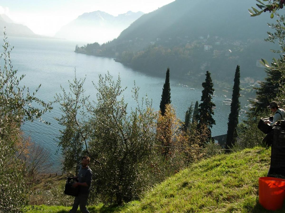 Casa Indipendente "Il Sole Delle Grigne" Villa Bellagio Dış mekan fotoğraf